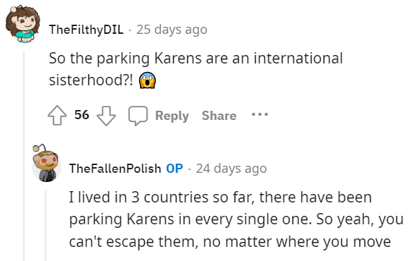 Font - TheFilthyDIL- Hace 25 días ¡¿Entonces las Karens de estacionamiento son una hermandad internacional?! 56 Responder Compartir The FallenPolish OP - Hace 24 días Viví en 3 países hasta ahora, ha habido Karens de estacionamiento en cada uno de ellos. Así que sí, no puedes escapar de ellos, no importa a dónde te muevas